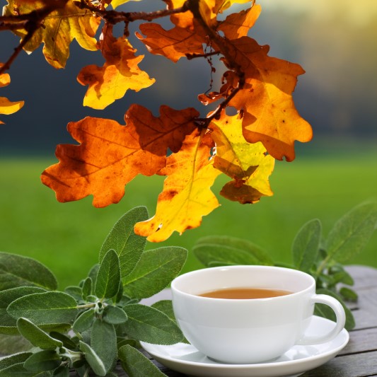Herbstferien Herbstferien